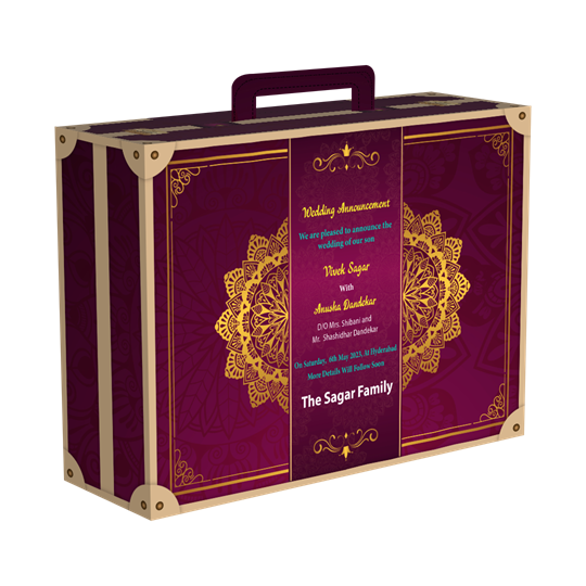 WD - NewGG - Suitcase - 19_1_-Frm_244219.png